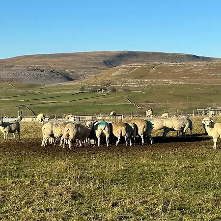 펜션 Ivy Mount - Your Gateway To The Yorkshire 3 Peaks 잉글턴